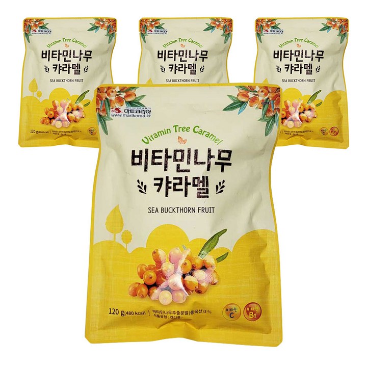 아름다운정성 비타민 나무 카라멜 사탕, 4개, 120g