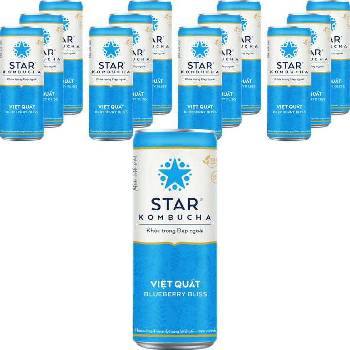스타콤부차 블루베리 블리스, 12개, 250ml