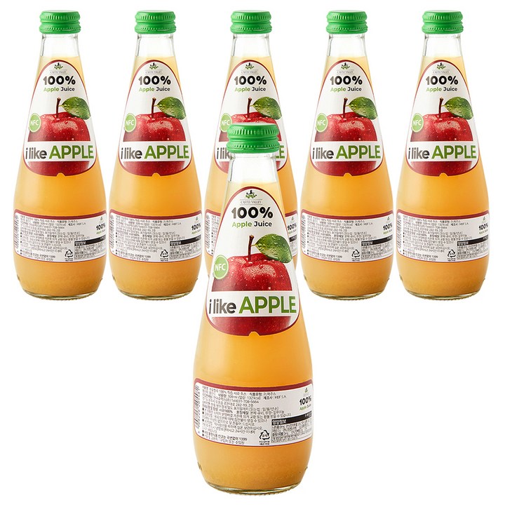 캐슬밸리 100 착즙 사과 주스, 6개, 300ml