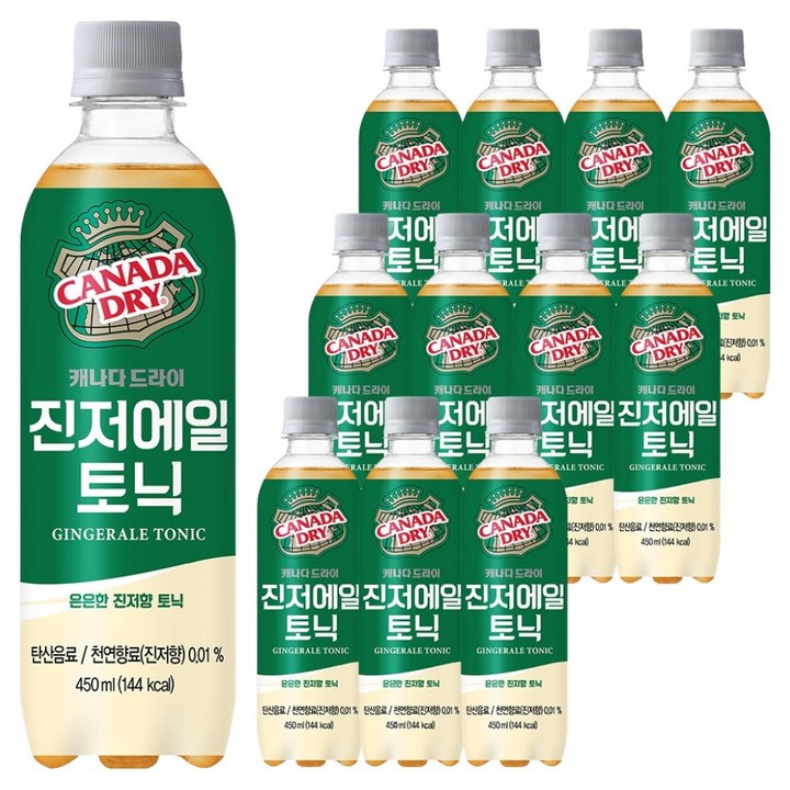캐나다드라이 진저에일 토닉, 450ml, 12개
