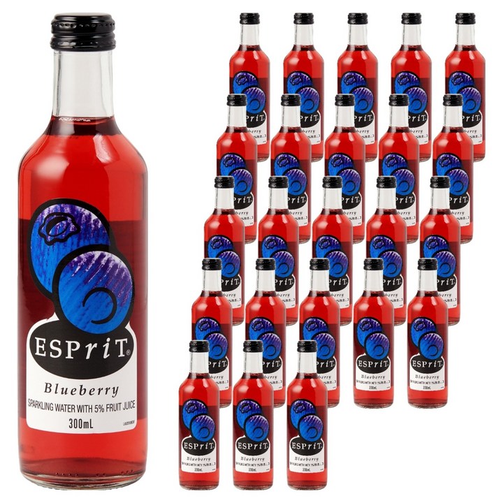 ESPriT 블루베리 소다 탄산음료, 300ml, 24개