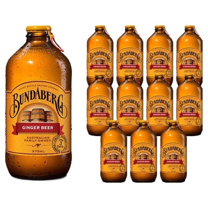 분다버그 진저비어 탄산음료, 375ml, 12개