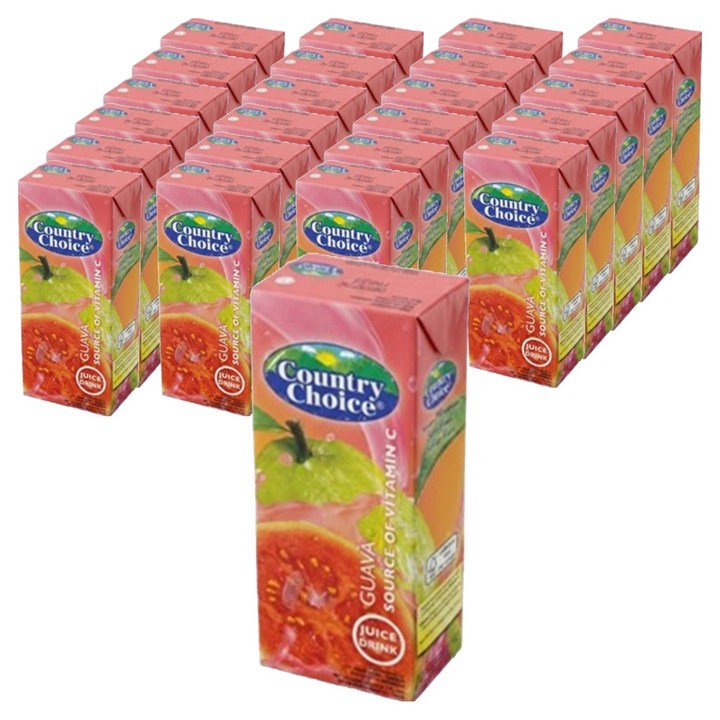 컨츄리쵸이스 잠부주스, 250ml, 24개