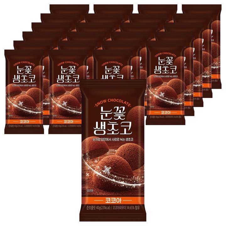 센그레이트 눈꽃 생초코 코코아, 40g, 24개