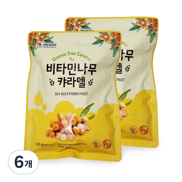 아름다운정성 비타민 나무 카라멜 사탕, 6개, 120g