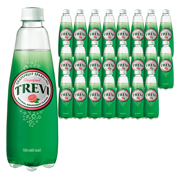 트레비 자몽 탄산음료, 500ml, 24개