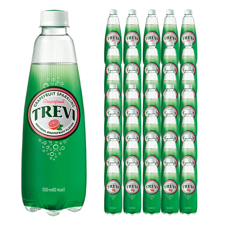 트레비 자몽 탄산음료, 500ml, 36개