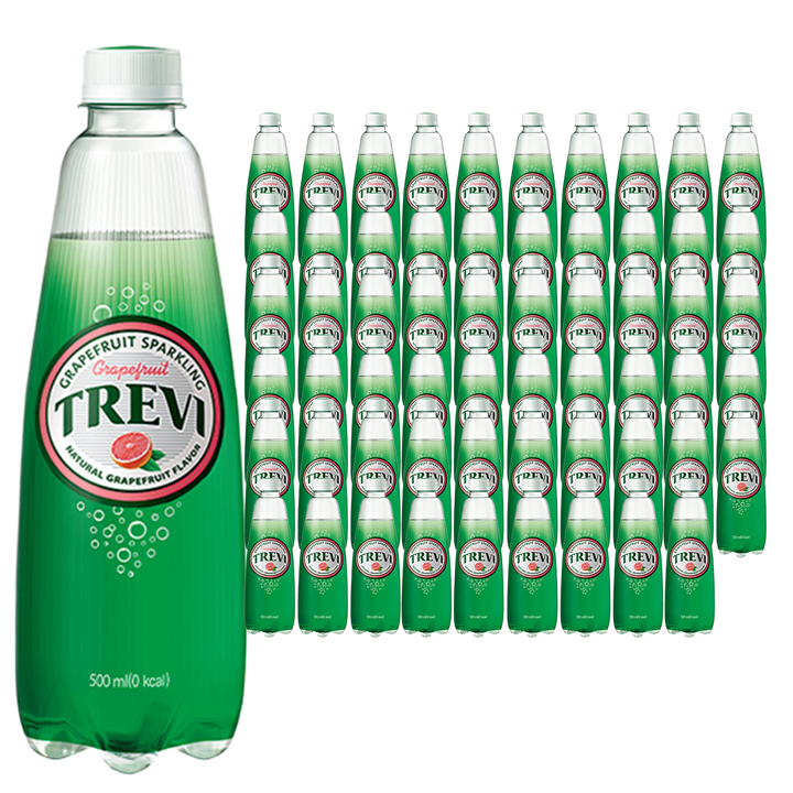 트레비 자몽 탄산음료, 500ml, 60개