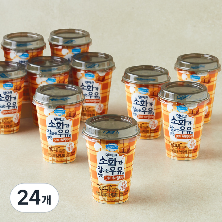 덴마크 소화가 잘되는 우유로 만든 속이 편안한 락토프리 크리미 카라멜 라떼, 24개, 250ml