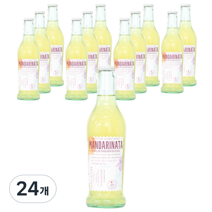 오가닉스토리 니아스카 감귤에이드 탄산, 24개, 250ml