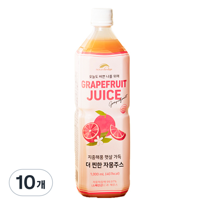 네이쳐브릿지 지중해풍 햇살 가득 자몽주스, 10개, 1L