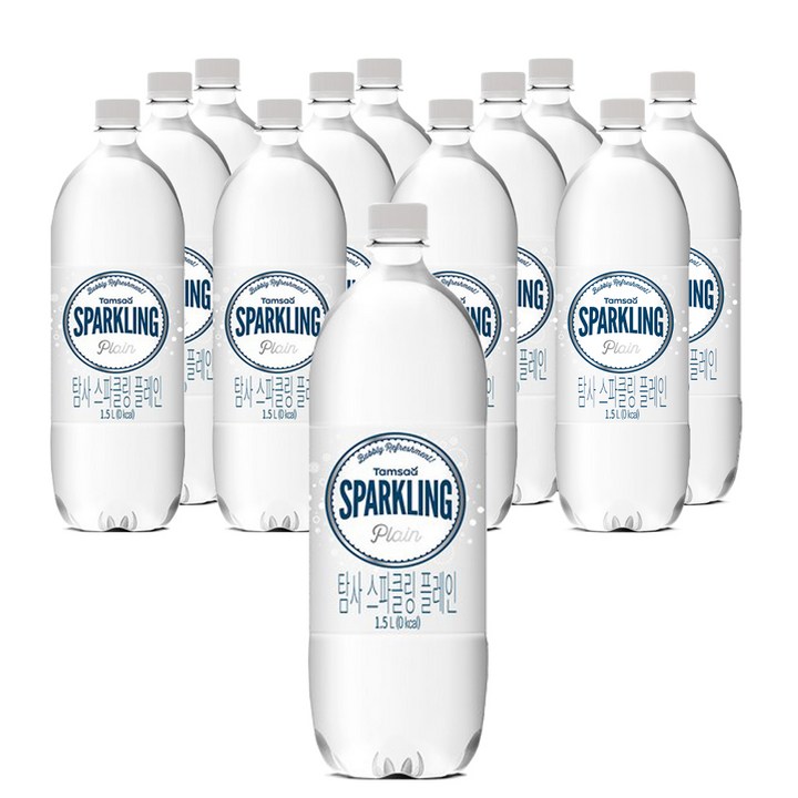탐사 스파클링 플레인, 1.5L, 12개
