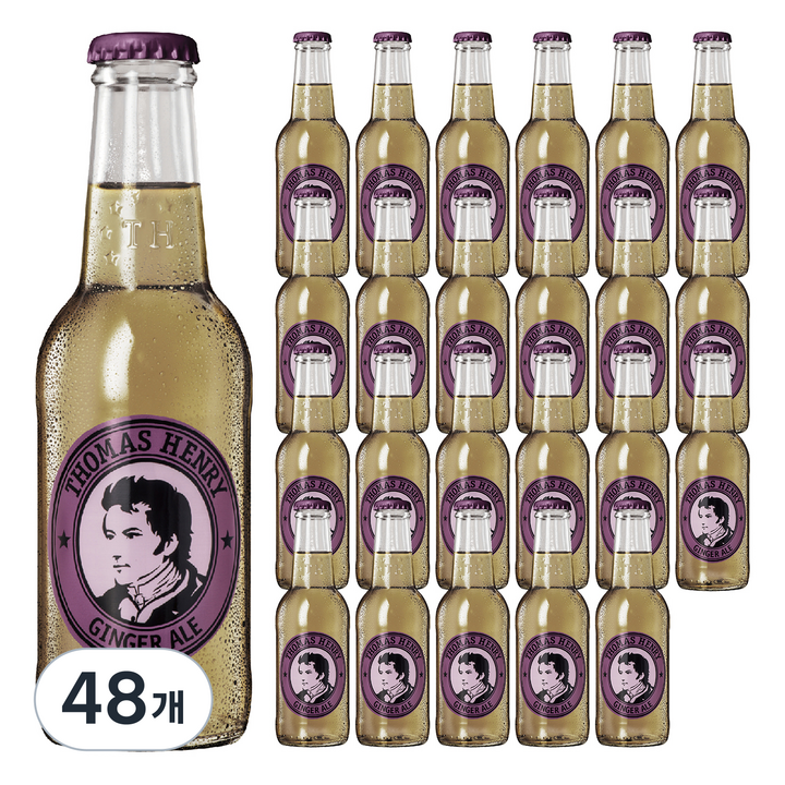 토마스헨리 진저에일 탄산음료, 48개, 200ml