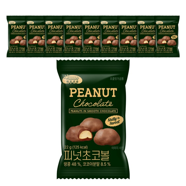 하루견과 피넛 초코볼, 22g, 10개
