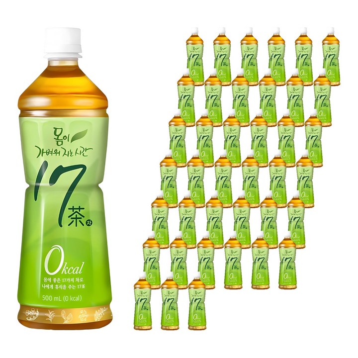 17차 몸이 가벼워지는 시간, 500ml, 40개