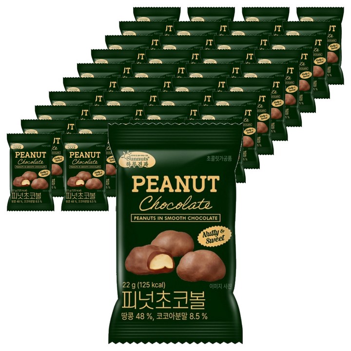 하루견과 피넛 초코볼, 22g, 40개
