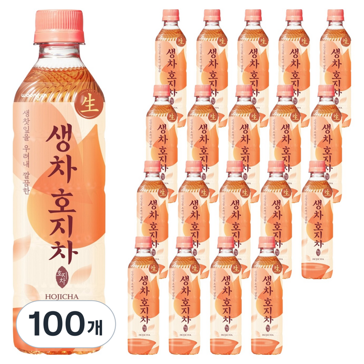 웅진 생차 호지차, 500ml, 100개