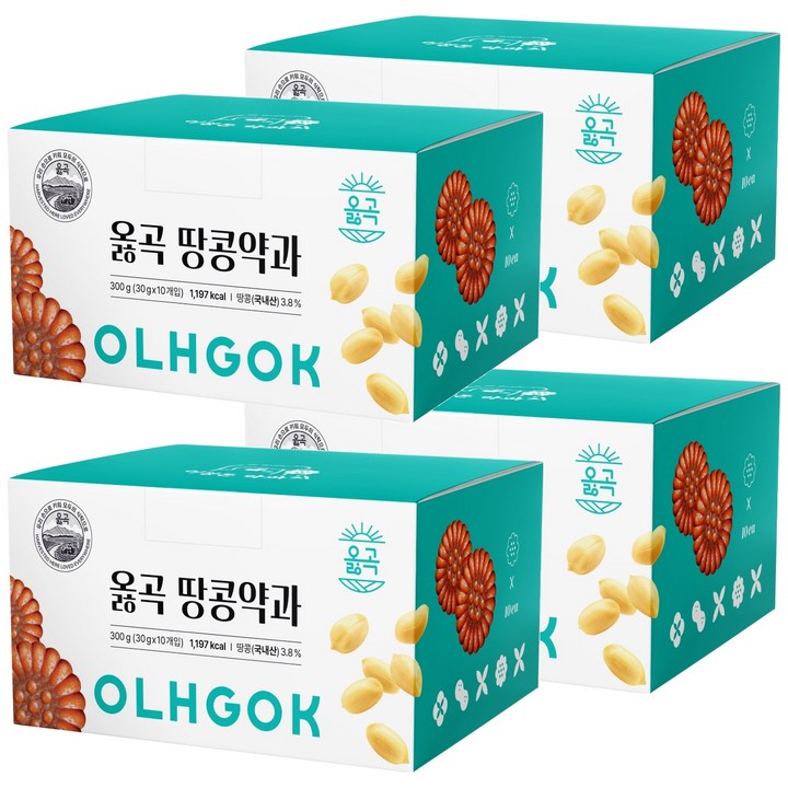 옳곡 땅콩약과 이정돈 약과지 10p, 4개, 300g