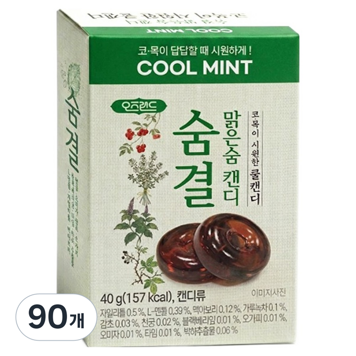 오즈랜드 숨결 맑은숨 캔디 8p, 40g, 90개