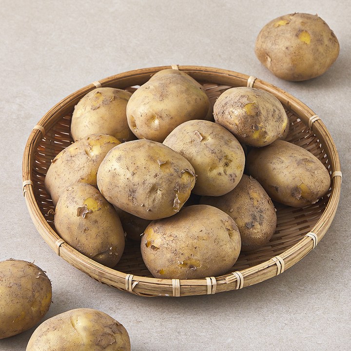 강원도 햇 감자, 3kg, 1개