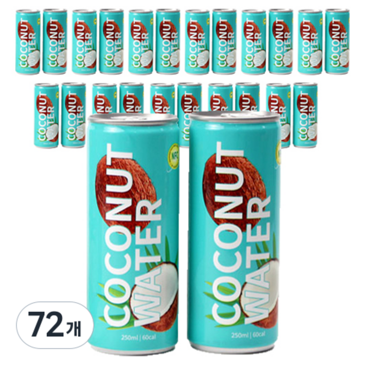 스위트오아시스 코코넛워터, 250ml, 72개