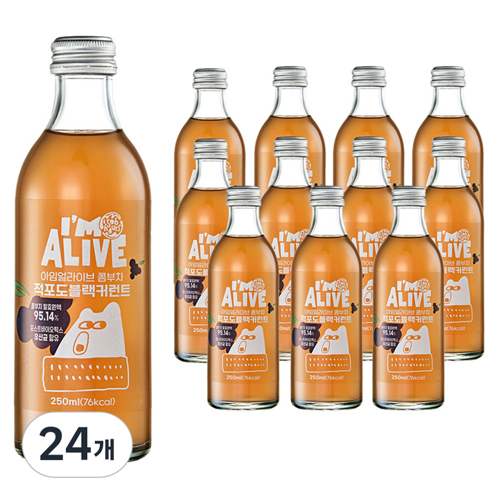 아임얼라이브콤부차 적포도 블랙커런트, 24개, 250ml