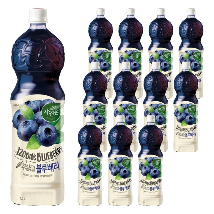 자연은 블루베리 주스, 1.5L, 12개
