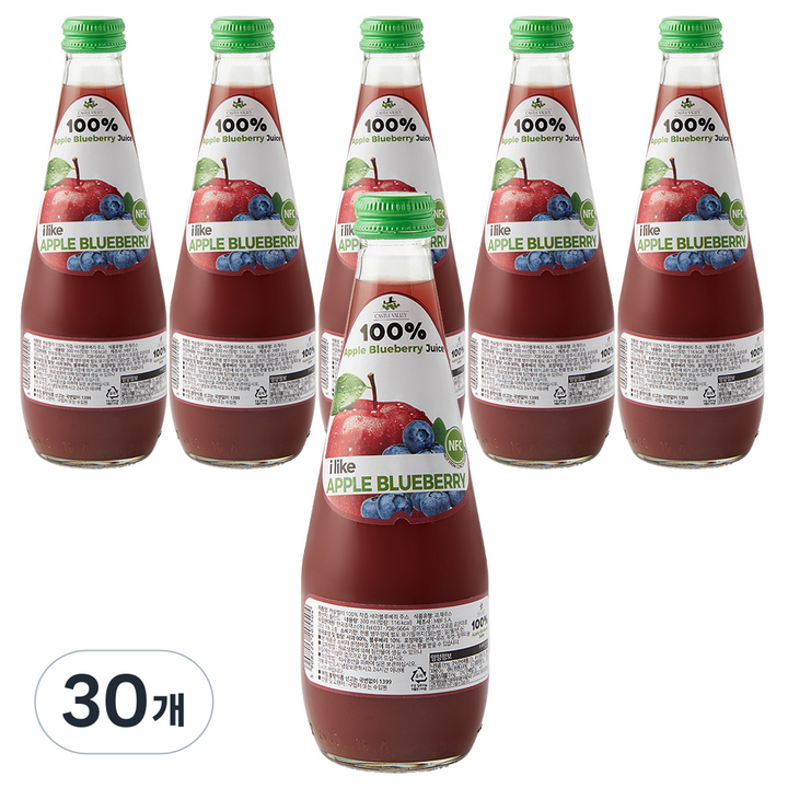 캐슬밸리 100 착즙 사과블루베리 주스, 30개, 300ml