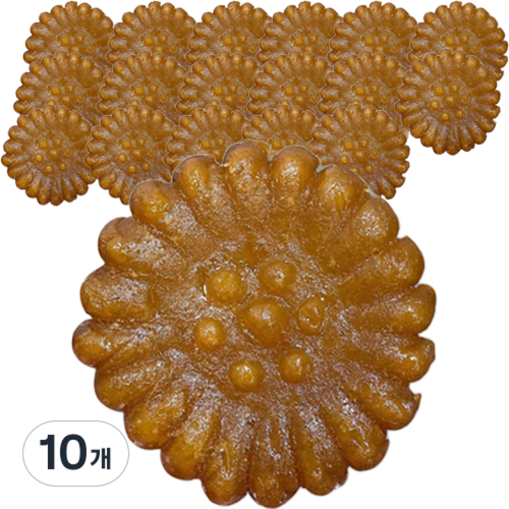 겉바속꾸 찹쌀 약과 9p, 450g, 10개