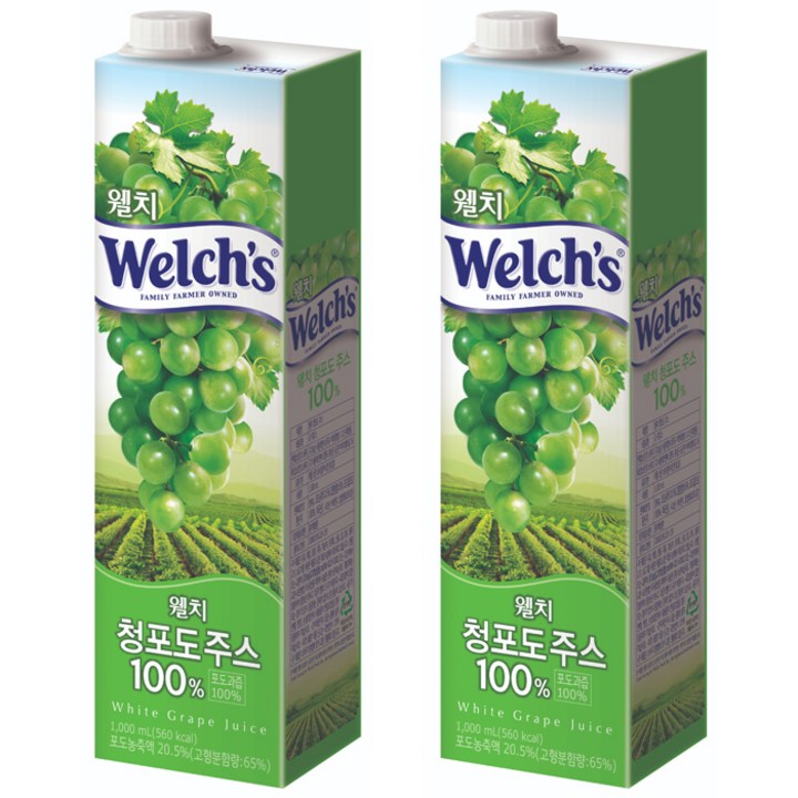 웰치스 청포도 주스 종이팩, 1L, 2개