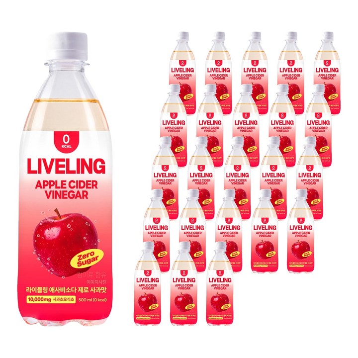 라이블링 애사비 소다 제로 사과맛, 500ml, 24개