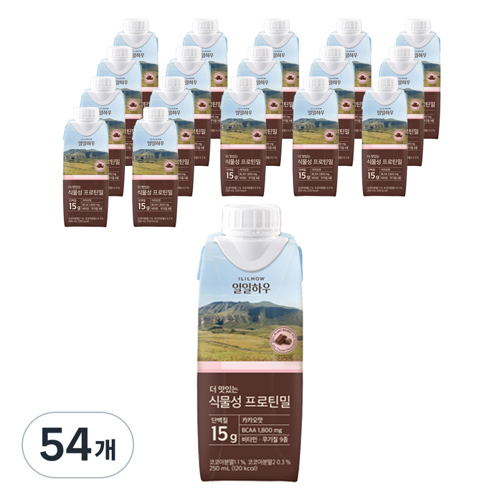 일일하우 더 맛있는 식물성 프로틴밀 카카오맛, 250ml, 54개