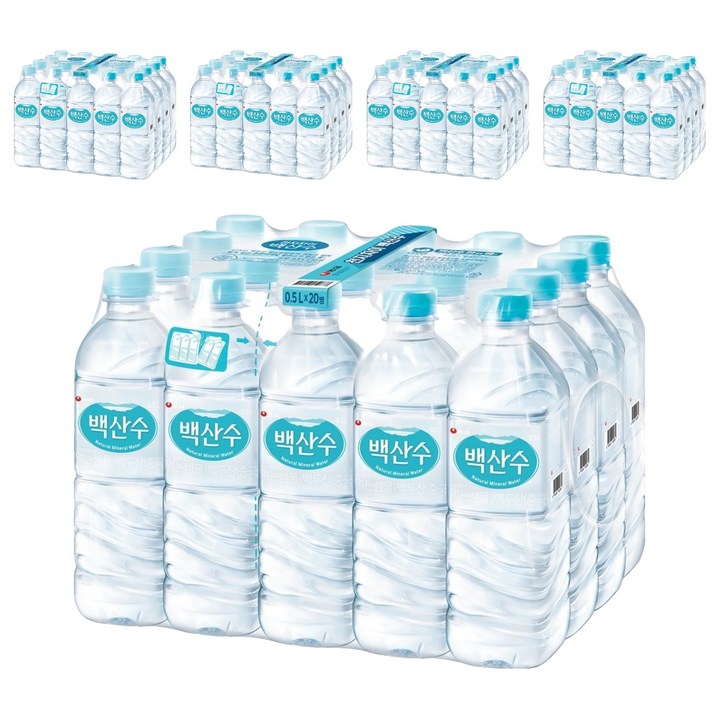 백산수, 500ml, 100개