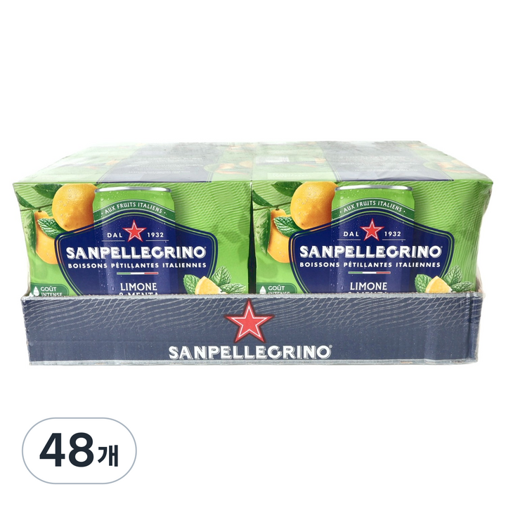 산펠레그리노 리모네 앤 민타 레몬 & 민트, 48개, 330ml