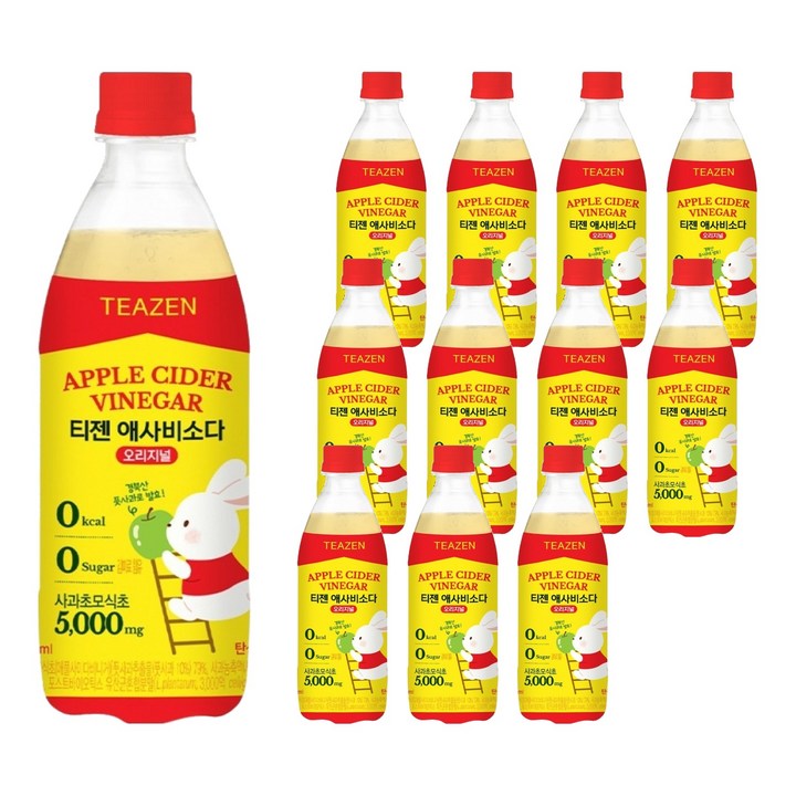 티젠 애사비소다 오리지널, 12개, 500ml