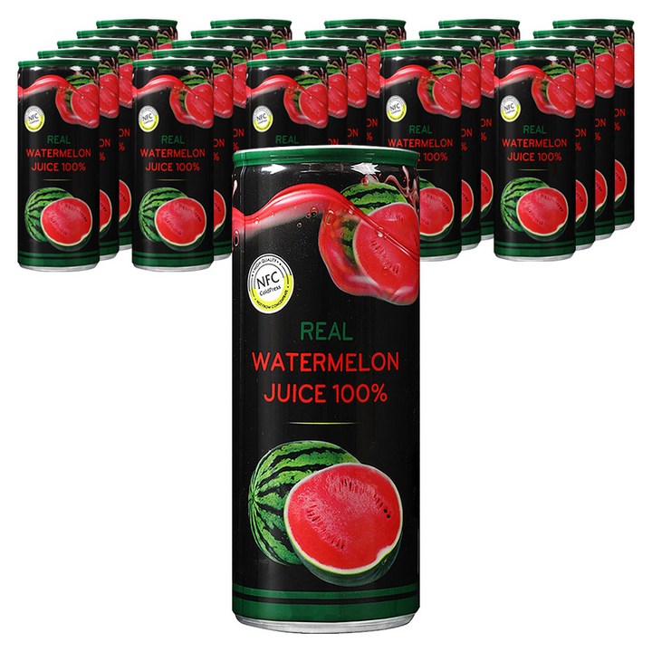 파모빗 찐 수박쥬스, 24개, 250ml