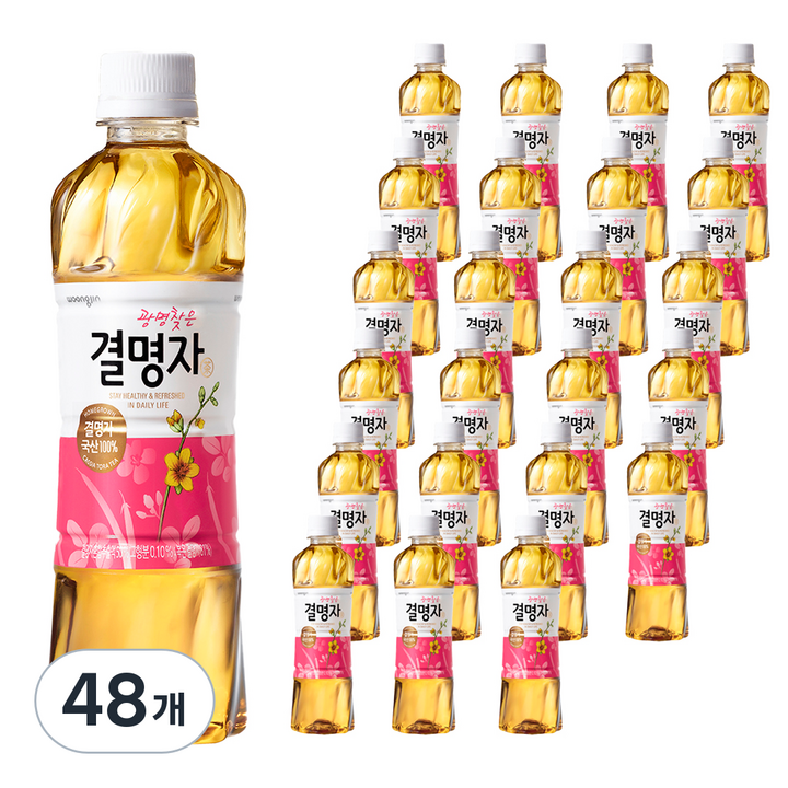 웅진 광명찾은 결명자차, 500ml, 48개