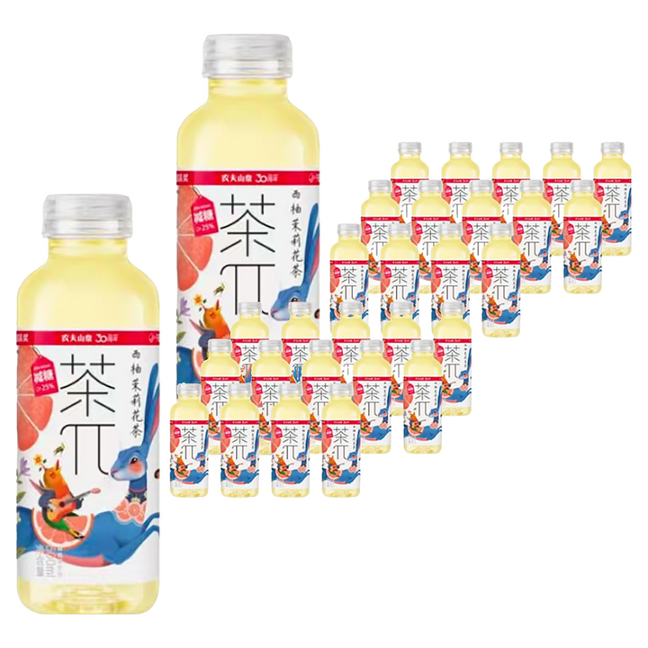 차파이 자몽차스민차, 45개, 500ml