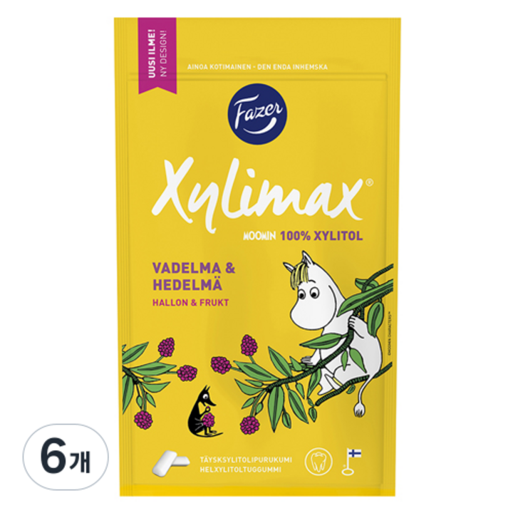 질리맥스 무민 자일리톨 과일맛 츄잉껌, 100g, 6개