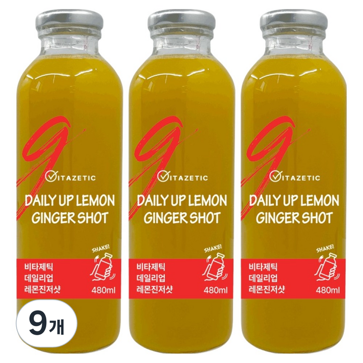 비타제틱 데일리업 레몬진저샷 생강 커큐민, 9개, 480ml