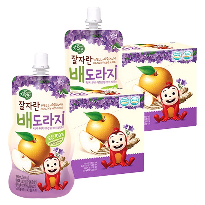 자연은 잘자란 어린이 배도라지 주스 100ml, 20개