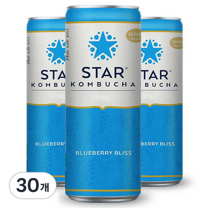 스타콤부차 블루베리 블리스, 30개, 250ml