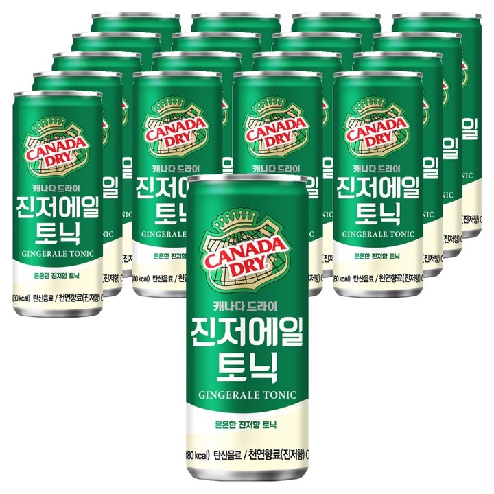캐나다드라이 진저에일 토닉, 250ml, 18개