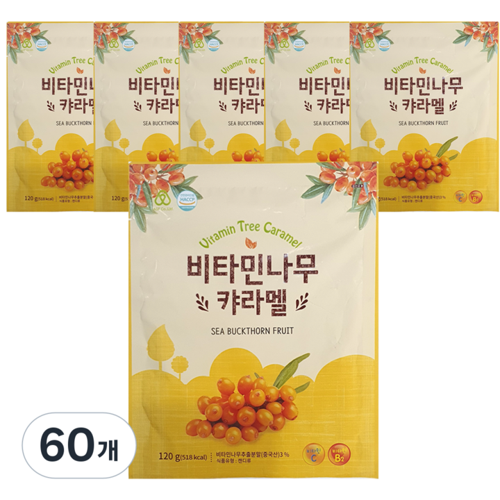 하이투데이 비타민나무 캬라멜, 120g, 60개