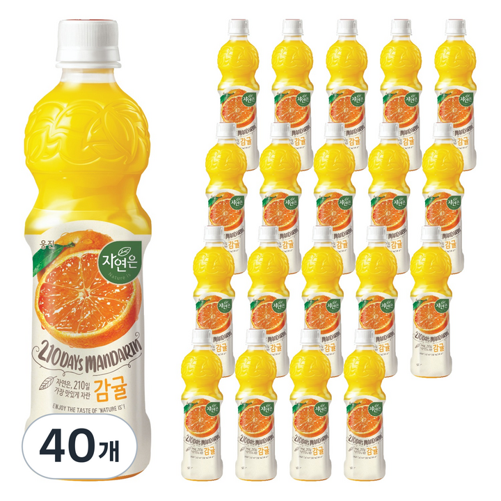 자연은 감귤 주스, 500ml, 40개