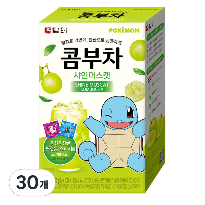 담터 포켓몬 콤부차 샤인머스캣, 5g, 10개입, 30개