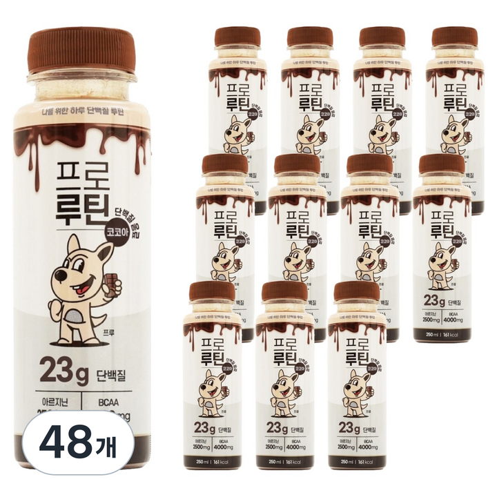 프로루틴 마시는 아르기닌 단백질 23g 음료 코코아, 48개, 250ml