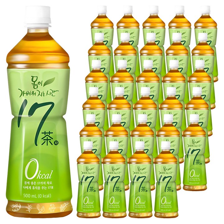 17차 몸이 가벼워지는 시간, 500ml, 100개