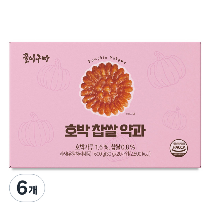 꿀이구마 NEW호박찹쌀약과, 600g, 6개