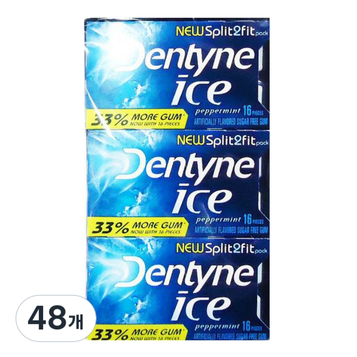 캐드버리아담스 덴타인 아이스 페퍼민트 츄잉껌, 24g, 48개